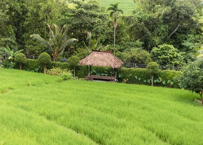 Villa Omah Sabin East Canggu (Bali)